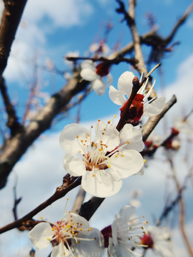 2017-03-11 09.18.06 1.jpg