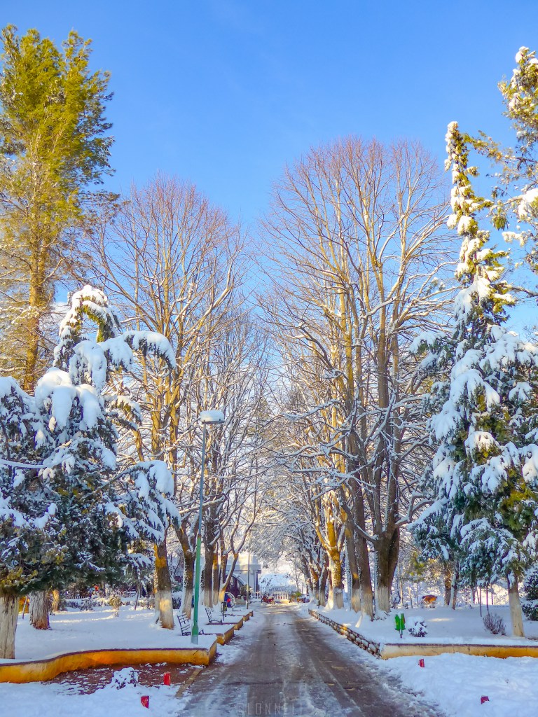 lrm_export_20170213_142330